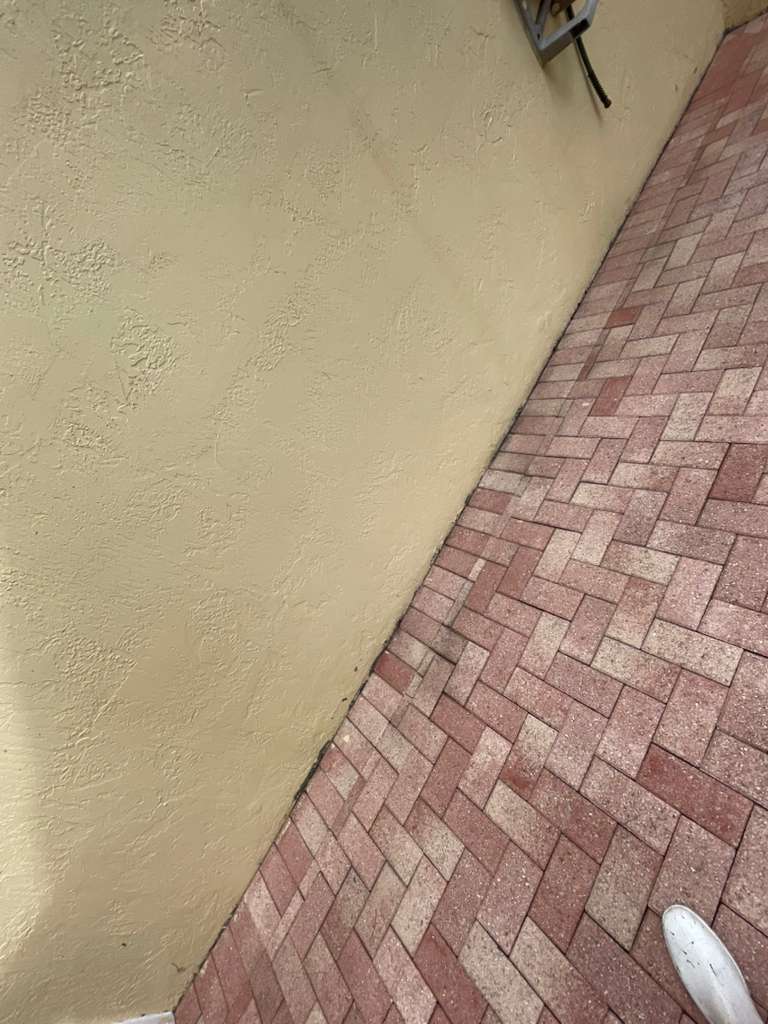 Garden Cleanup - After professional lawn care and landscaping service by The Fresh Feel in South Florida